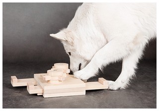 IQ играчки - образователни играчки за кучета