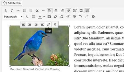 Як додати рамки до зображень в wordpress, все про wordpress