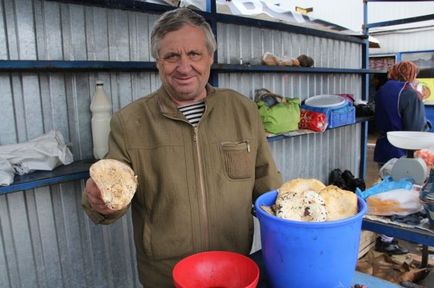 Mit és hogyan lehet megőrizni a gombát, nem méreg társadalom AMF Krasznojarszk