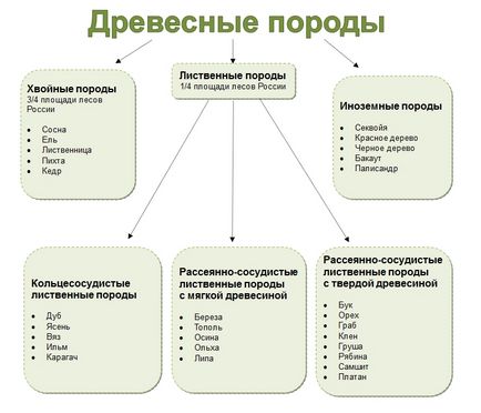 Які існують норми будівництва лазні на дачній ділянці