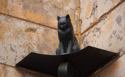 Як кішки ленинград врятували або історія «нявкаючій дивізії» - фактрум