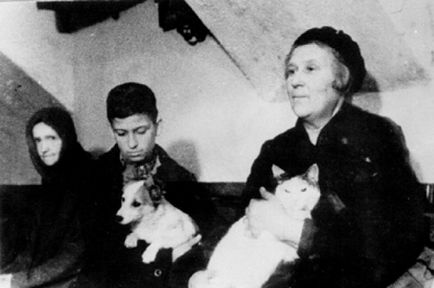 Cum pisicile au salvat Leningradul blocat