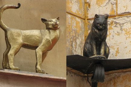Cum pisicile au salvat blocada Leningrad de invazia șobolanilor - povești cu coadă