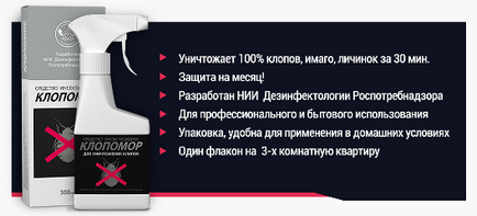 Як лікувати укуси постільних клопів ніж обробляти і наскільки вони небезпечні