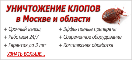 Як лікувати укуси постільних клопів ніж обробляти і наскільки вони небезпечні