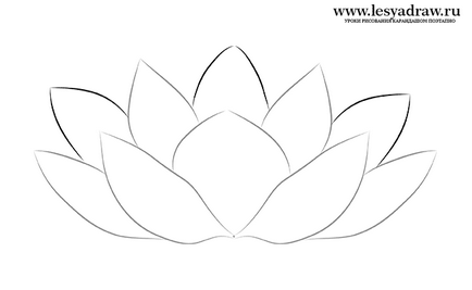 Cum sa desenezi un crin de apa si un lotus - desene de lectie - utile la artsphera