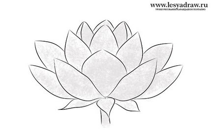 Cum sa desenezi un crin de apa si un lotus - desene de lectie - utile la artsphera