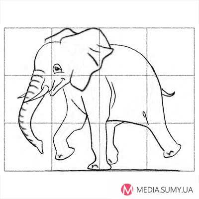 Cum de a desena un pasionat de elefant cu desene animate