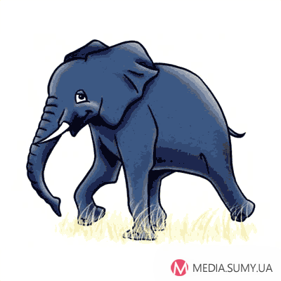 Cum de a desena un pasionat de elefant cu desene animate