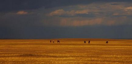 Cum de a desena steppe - instrucțiuni pas cu pas