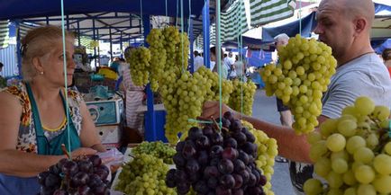 Як посадити і виростити виноград кишмиш у себе на ділянці