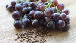Як посадити виноград з кісточки в домашніх умовах