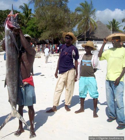 Hogyan lehet elkapni egy marlin (Mombasa, Kenya)