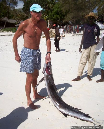 Cum să prindă Marlin (Mombasa, Kenya)
