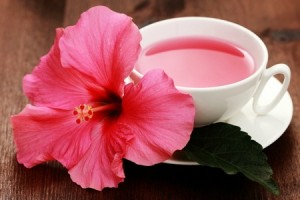 Cum să gătești hibiscus, efectul asupra corpului și proprietățile benefice ale unei băuturi carcade