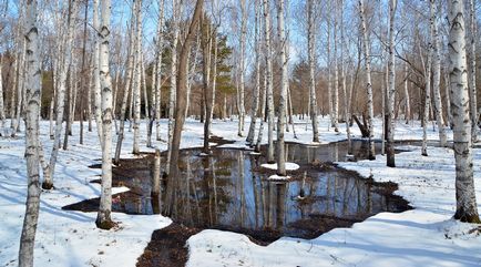 Як відбувається виведення каменів з нирок