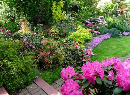 Cum sa faci o frumoasa gradina de flori, confortul si caldura casei mele