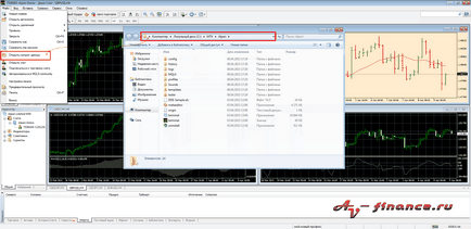 Cum se face o versiune portabilă a programului metatrader 4