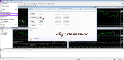 Cum se face o versiune portabilă a programului metatrader 4