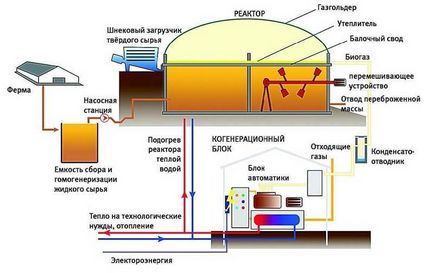 Як спорудити установку для отримання біогазу робимо біореактор