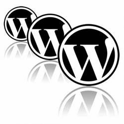 Ce cms de a alege wordpress sau modx - materiale de autor pe promovarea VKontakte, wordpress