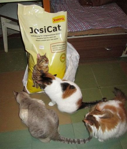 Корм для кота josera josicat відгуки