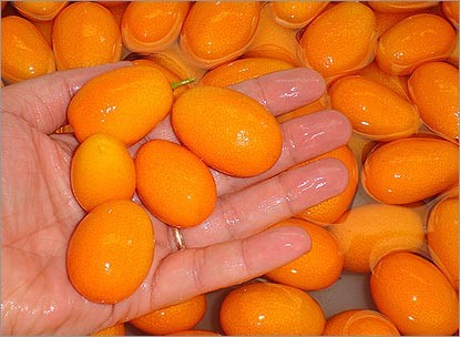 Kumquat este o rudă de portocal