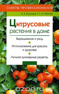 Кумкват - родич апельсина