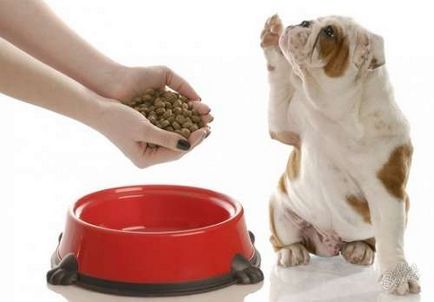 Cumpărați hrana pentru câini în St. Petersburg ieftine, magazin online «vip feed