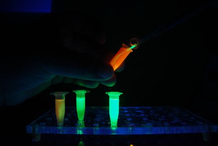 Лабораторія молекулярно-генетичних досліджень, ФБУН - уфимський ванні медицини праці та екології