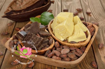 Лікування маслом какао для лікування горла при кашлі і не тільки