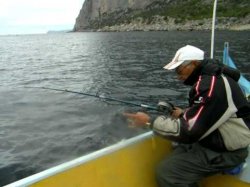 Pescuitul cu pescari