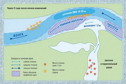 Capturarea unui stiuc mare pe Volga și Akhtuba, unde și cum să prindeți un știuc mare pe Volga superioară și inferioară