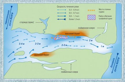 Capturarea unui stiuc mare pe Volga și Akhtuba, unde și cum să prindeți un știuc mare pe Volga superioară și inferioară