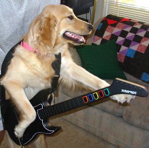 Cântece preferate pentru chitară, vals de câine pe chitară și fanfare pe chei