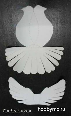 Maestru-porumbel de clasă a lumii de hârtie - hobby de mare