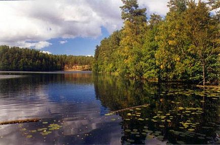 Réz-tó - az egyik kedvenc nyaralóhelye St. Petersburg