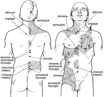 Методи діагностики використовуються в східній медицині по пульсу, сигнальним точкам, пальпації