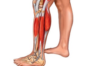 Mușchii și accidentul vascular cerebral