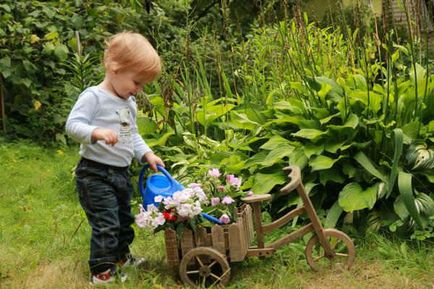 Paturi de flori mobile pentru cabana de vara, 6 hectare