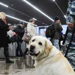 Moscova, știri, în transportul din Moscova au întărit măsurile de securitate