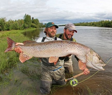 Fly fishing pike - fly fishing