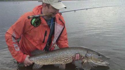 Fly fishing pike - fly fishing