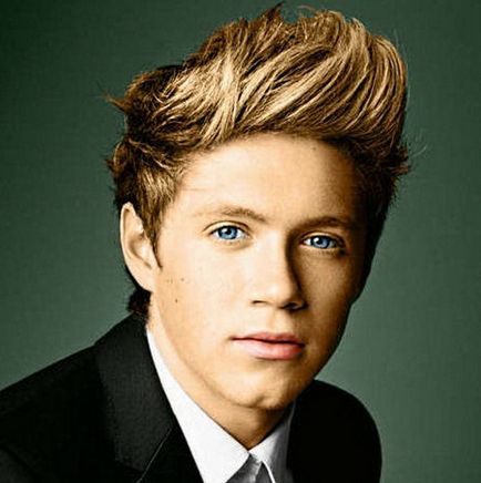 Niall Horan - fotografie, viață personală, biografie