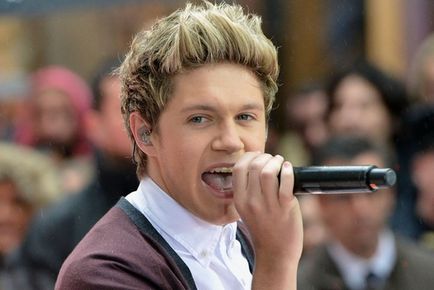 Niall Horan - fotografie, viață personală, biografie