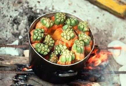 Un pandanus de fructe neobișnuit