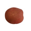 Npц нан беларуси по картофелеводству și în sectorul fructelor și legumelor