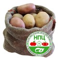 НВЦ нан білорусі з картоплярства і плодоовочівництва