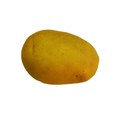 Npц нан беларуси по картофелеводству și în sectorul fructelor și legumelor