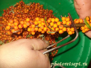 Sirop de cătină